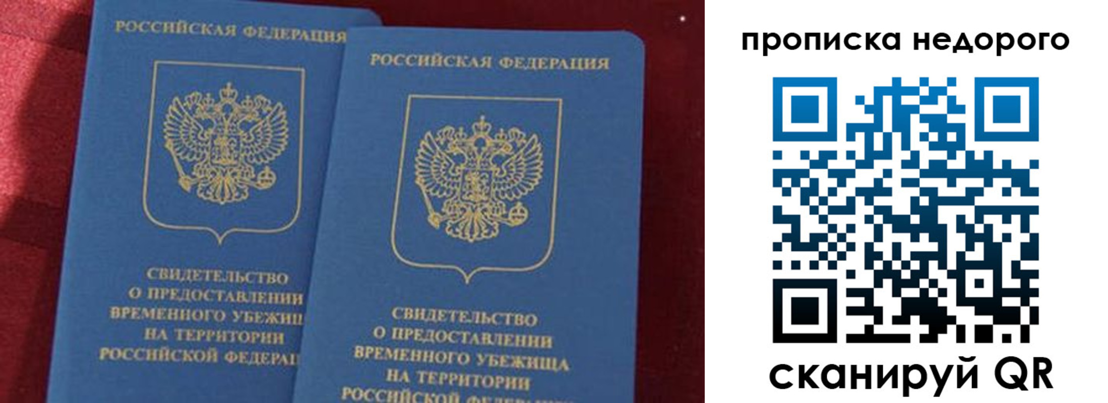 прописка гарантия в Луге